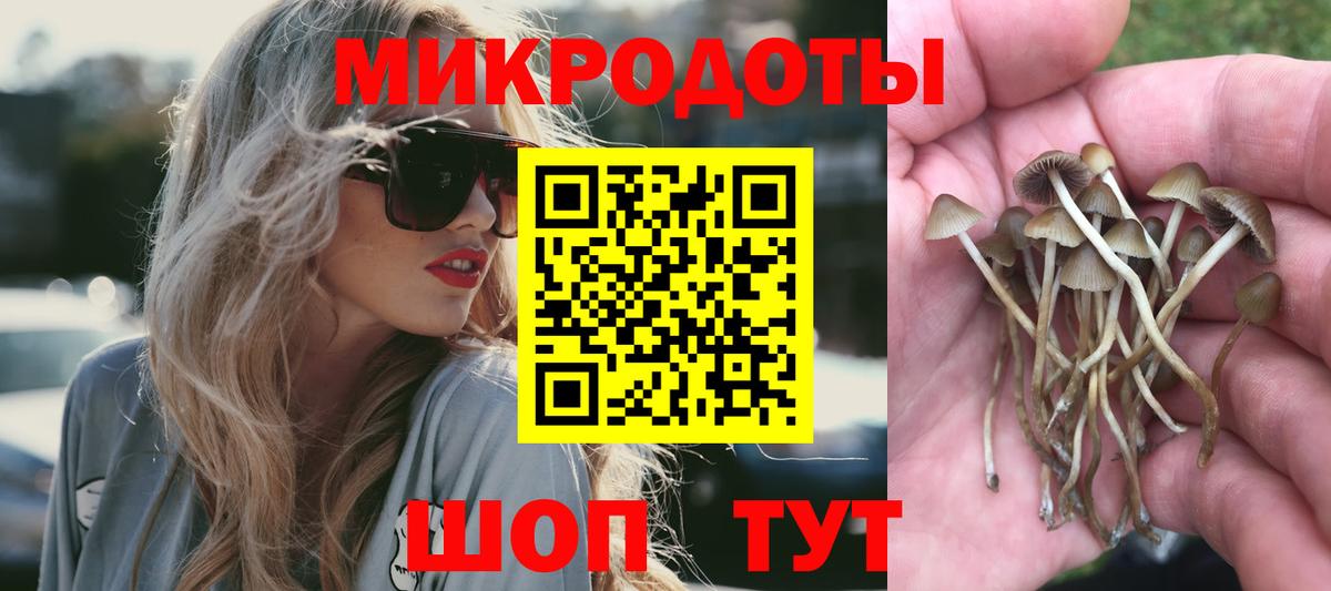 Галлюциногенные грибы Magic Shrooms  Вход с VPN  Галлюциногенные грибы GOLDEN TEACHER  Дедовск 